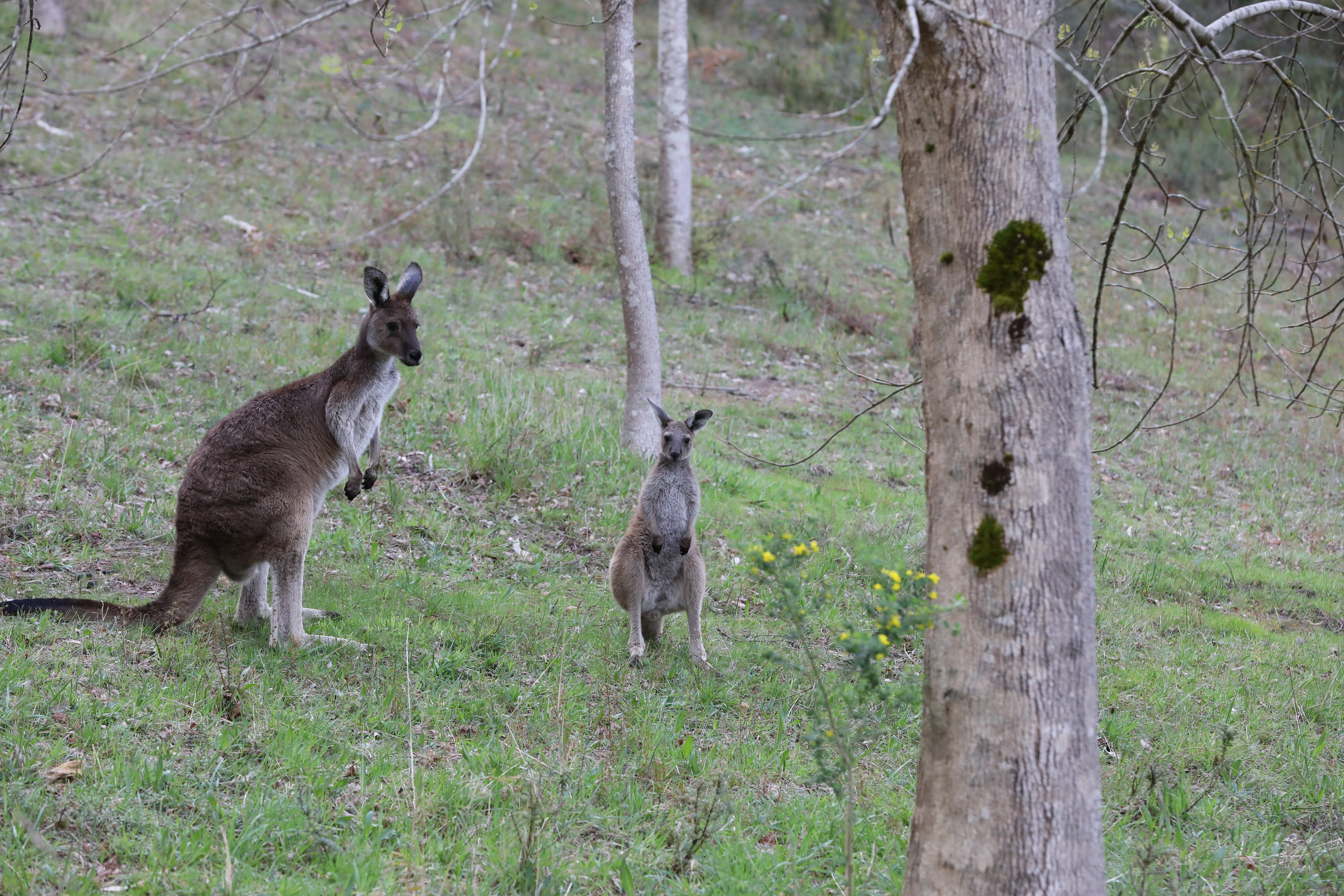 2019 09 21 15 57 16 Canon EOS 5D Mark IV 0015